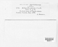 Image Associated With the Occurence